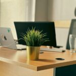 uma escrivaninha com um laptop e uma planta em vaso nela