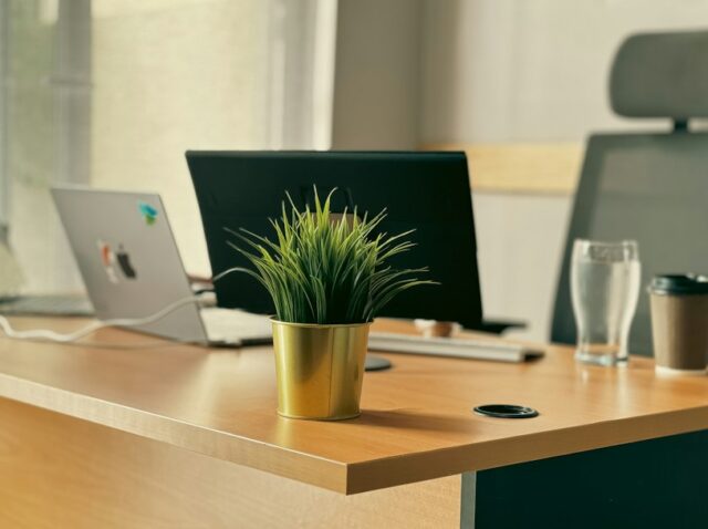 ia-software-sob-medida-saas-ou-proprio uma escrivaninha com um laptop e uma planta em vaso nela