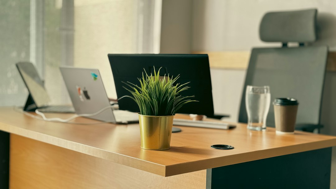 ia-software-sob-medida-saas-ou-proprio uma escrivaninha com um laptop e uma planta em vaso nela